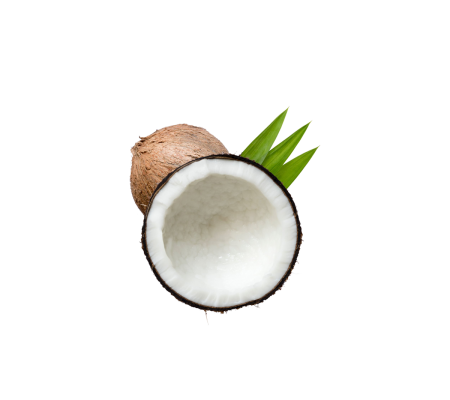 cocco-300x300_1243021311