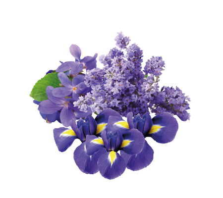 noy_bouquet_1246592746